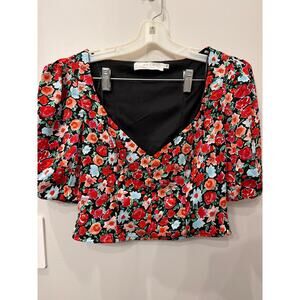 Aster top
